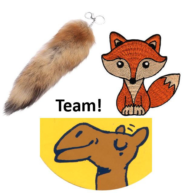team